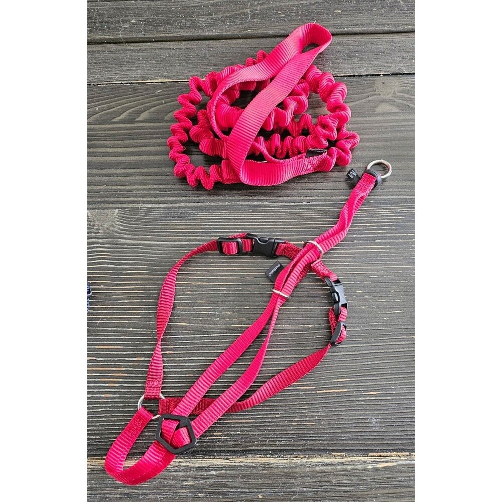 PetSafe COME WITH ME KITTY Cat Harness and Bungee Leash Red Medium